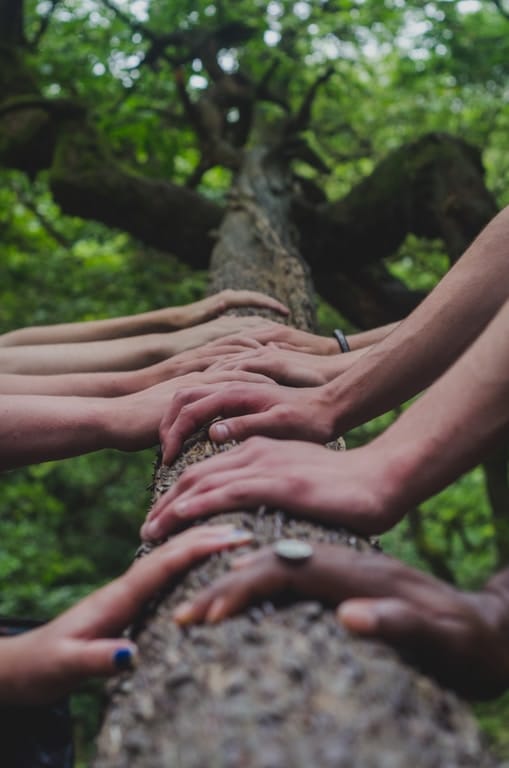 Multiple hands are resting on a tree trunk, showing a team bonding activity at the lensbury conference centre