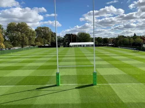 rugby pitch