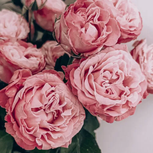 Mother’s Day website