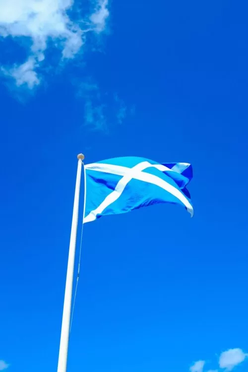 pexels-adrien-olichon-13255992