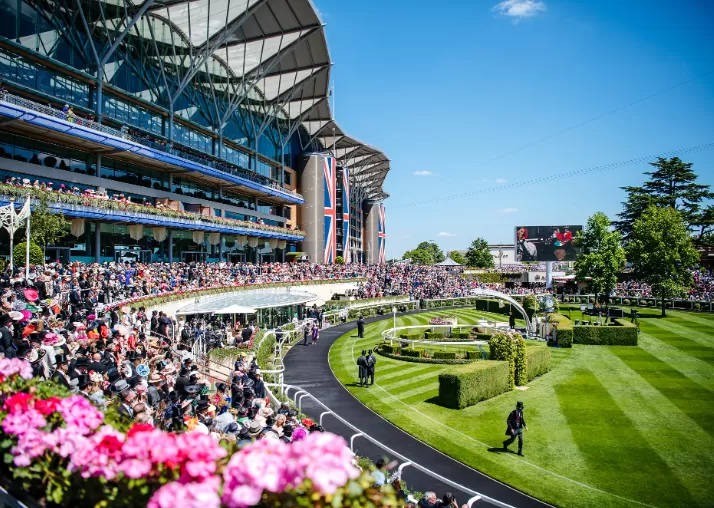 ascot