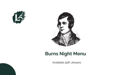 Untitled design (17)