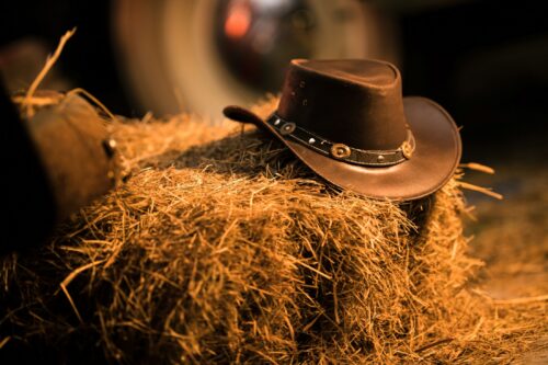Western Night